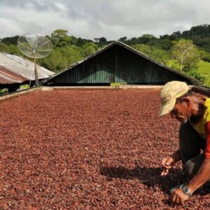 kakao fiyatlarindaki dusus cikolata fiyatlarina yansiyacak mi wR7NhxcQ