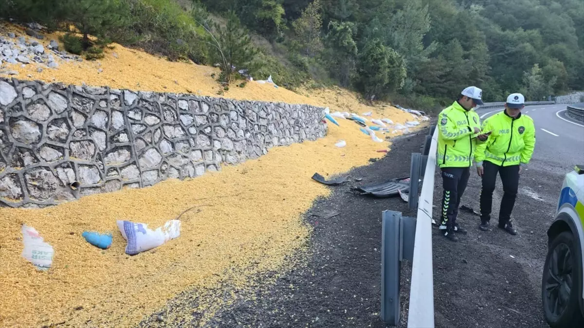 bursa inegolde hayvan yemi yuklu tir devrildi 2 agir yarali JYnrLCg2