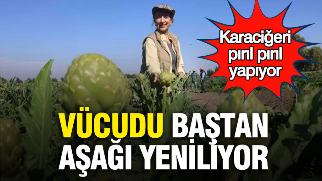 Enginarın Faydaları: Karaciğeri Yenileyen Bahar Mucizesi