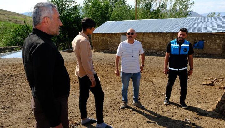 Önce tilkiye sonra koyunlara saldırdı! Van’da bir mahallede kuduz karantinası